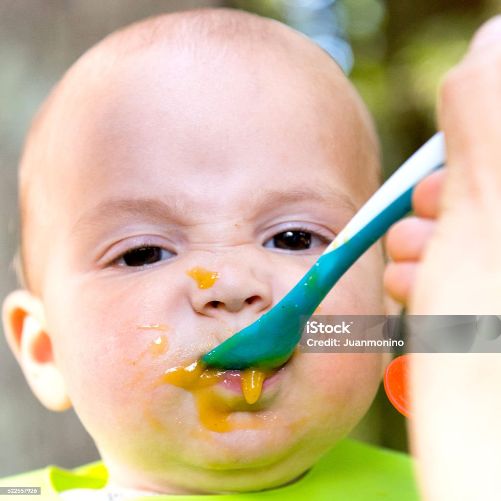 Baby eating seven months old baby having lunch Baby Boys Stock Photo