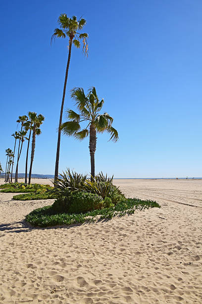 istock Newport Beach, California 522559582