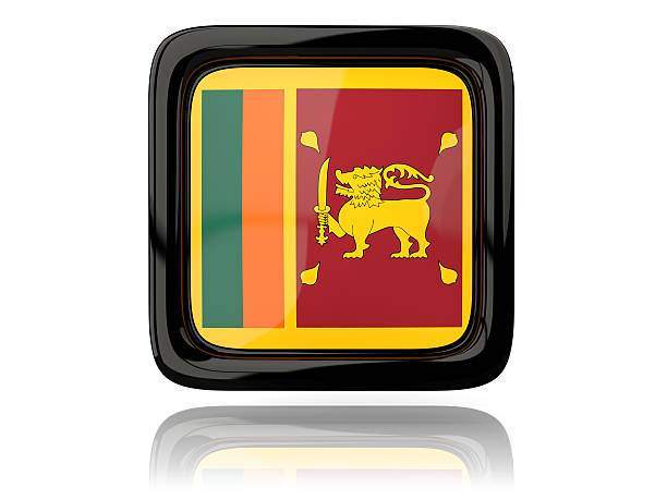 Kyrgyzstan flag on wood background