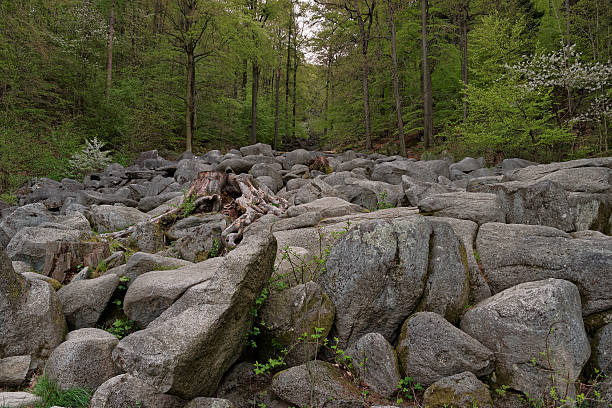 Sea of rocks Rocks at the Felsenmeer in Germany. odenwald photos stock pictures, royalty-free photos & images
