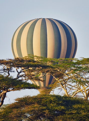 hot air balloon flying in Serengeti National Park