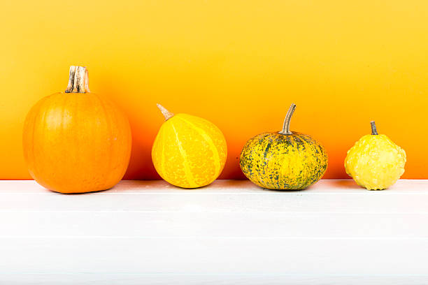 istock Pumpkins isolated on white wooden table and orange background 522561691