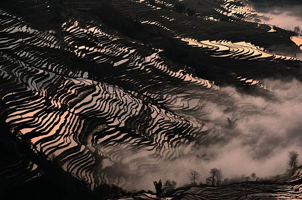 coucher de soleil sur les champs de bada terrasse - agriculture artificial yunnan province china photos et images de collection