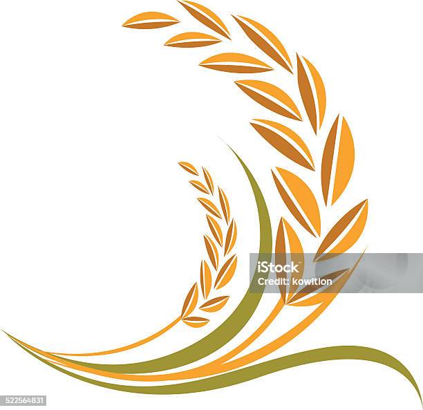 One Rice Vector Rice Vector Stock Illustration - Download Image Now - Agriculture ...