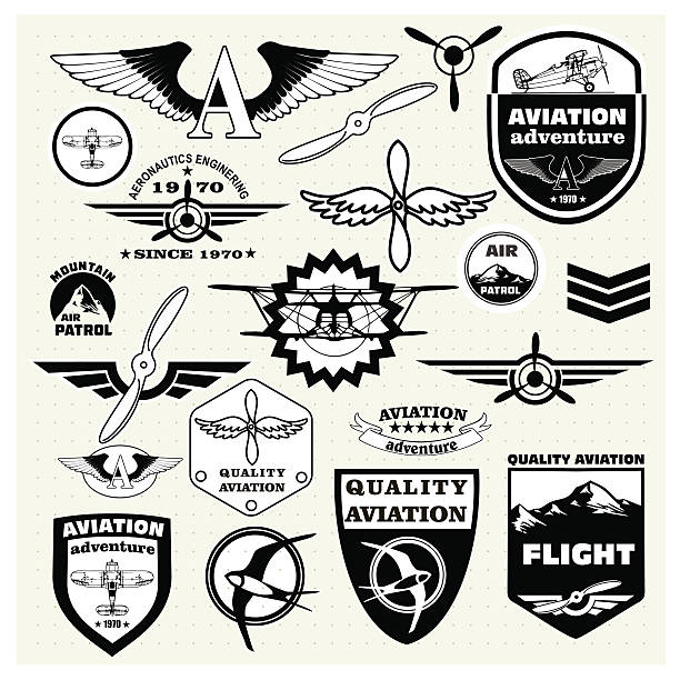 monochromatyczne symbolizujące, elementy, odznaki i logo lotnictwa - fighter plane aerospace industry air air vehicle stock illustrations
