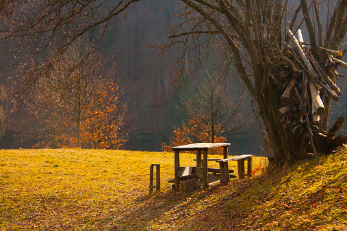 Wooden table with bench for picnic in the forest, no people.