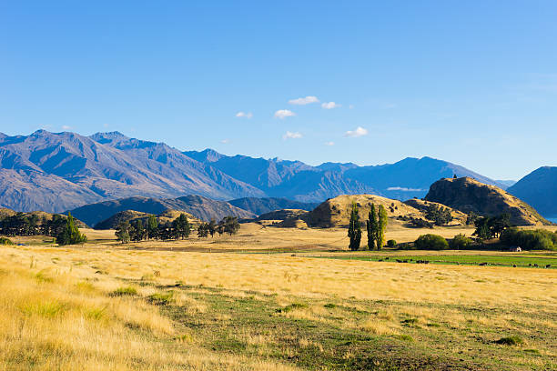 istock Picturesque landscape 522578493