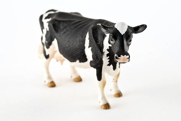 istock Toy cow isolated on a white background 522580249