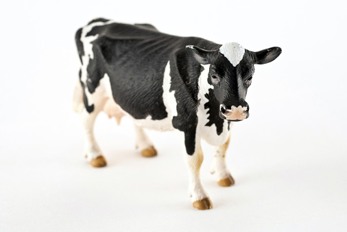 Toy cow isolated on a white background