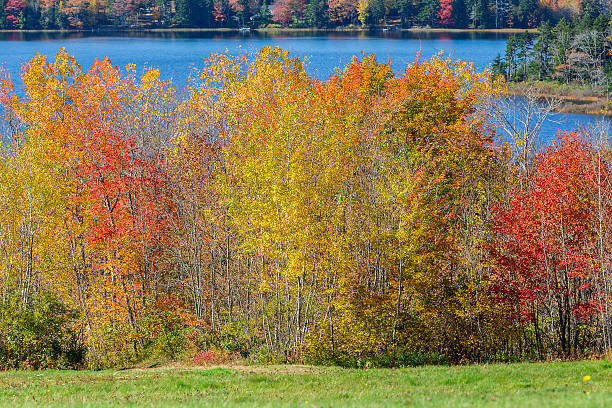 istock Jones Pond in Gouldsboro 522583895