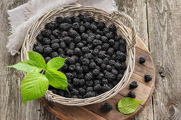 Blackberry in big basket on wooden table stock photo