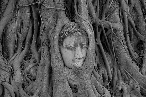 istock Buddha Head in Tree Roots, Ayutthaya - Thailand 522584641