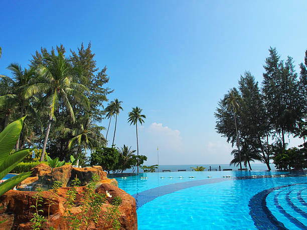 infinity pool in indonesia - luxury hotel palm tree lush foliage asia foto e immagini stock
