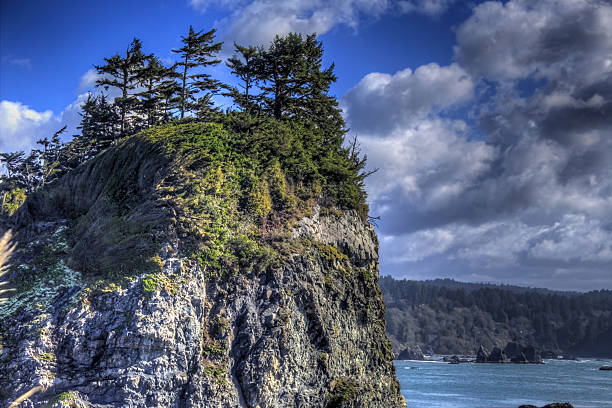 seastack, vista al mar, las nubes y los árboles, el bosque, color - humboldt county california coastline island fotografías e imágenes de stock