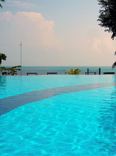 infinity pool in indonesia - luxury hotel palm tree lush foliage asia foto e immagini stock