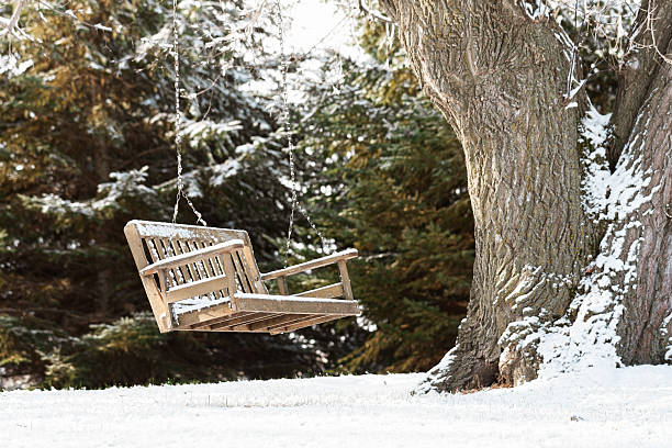 Cedar bench swing hanging from a large Cottonwood tree in Winter.