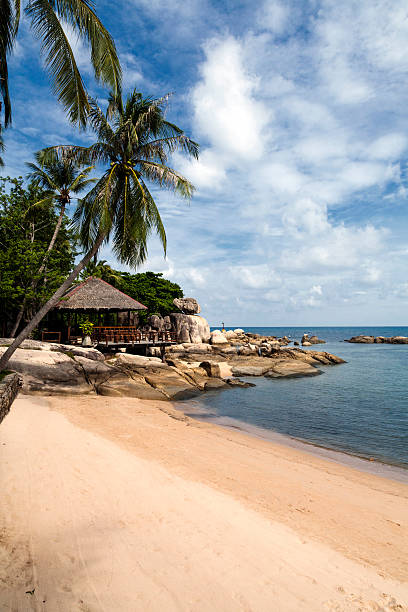 istock Thailand. Koh Tao 522599311