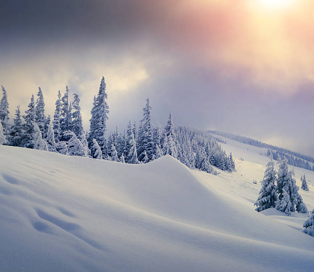 istock Trees covered with hoarfrost and snow in mountains. 522599395