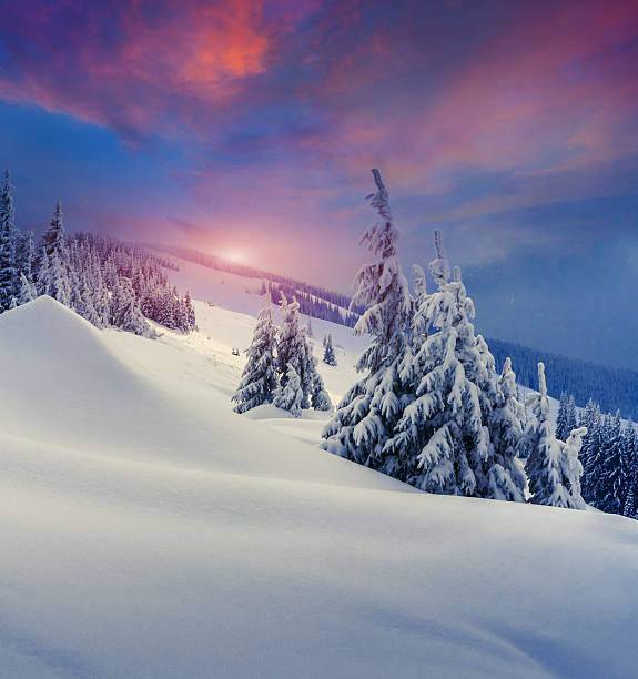 istock Trees covered with hoarfrost and snow in mountains. 522599445