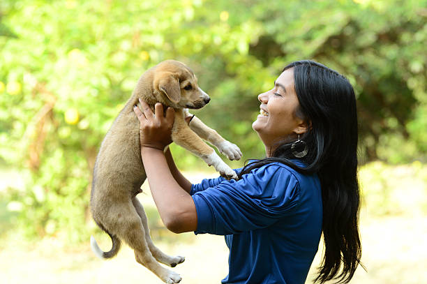 Teenage girl playing with puppy dog stock photo