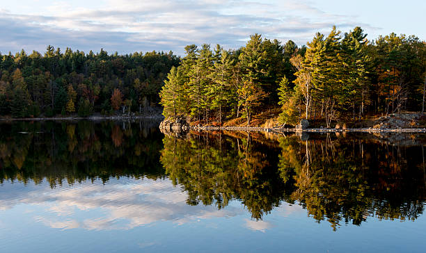 istock Evening Light on Northern Lake Shoreline 522605141
