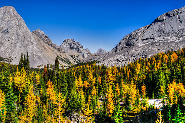 istock Beautiful mountain landscapes in Autumn 522605879