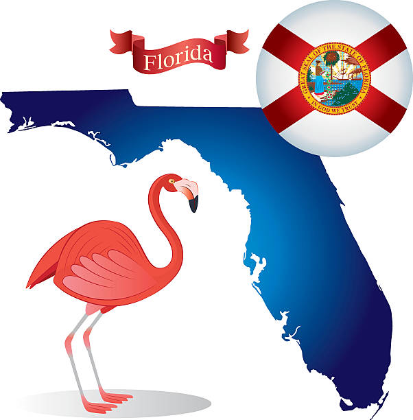 Florida-Flamingo Florida clearwater florida stock illustrations