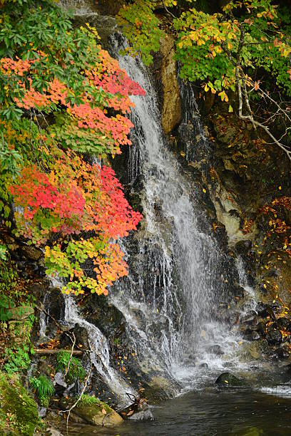 istock Autumn Colors in Northern Japan 522623593