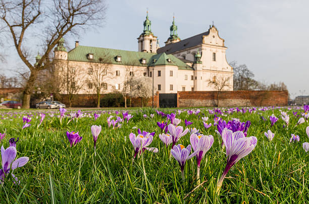 istock Crocuses and Skalka monastery, Krakow, Poland - focus on flowers 522623778