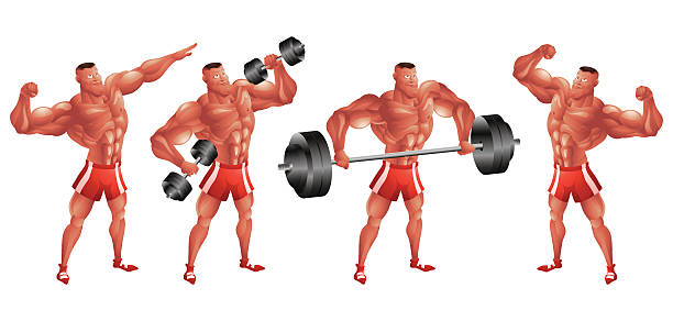 direct triceps training
