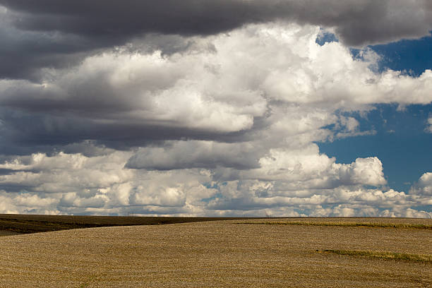 istock Colorful Sunlit Country Landscape 522624484