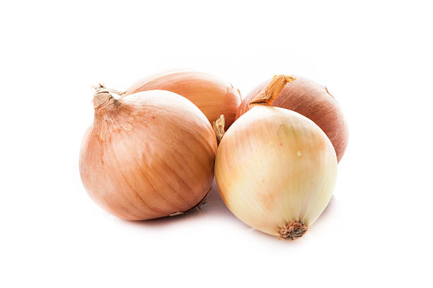 istock onion bulbs isolated on white background. Fresh golden onions 522624550