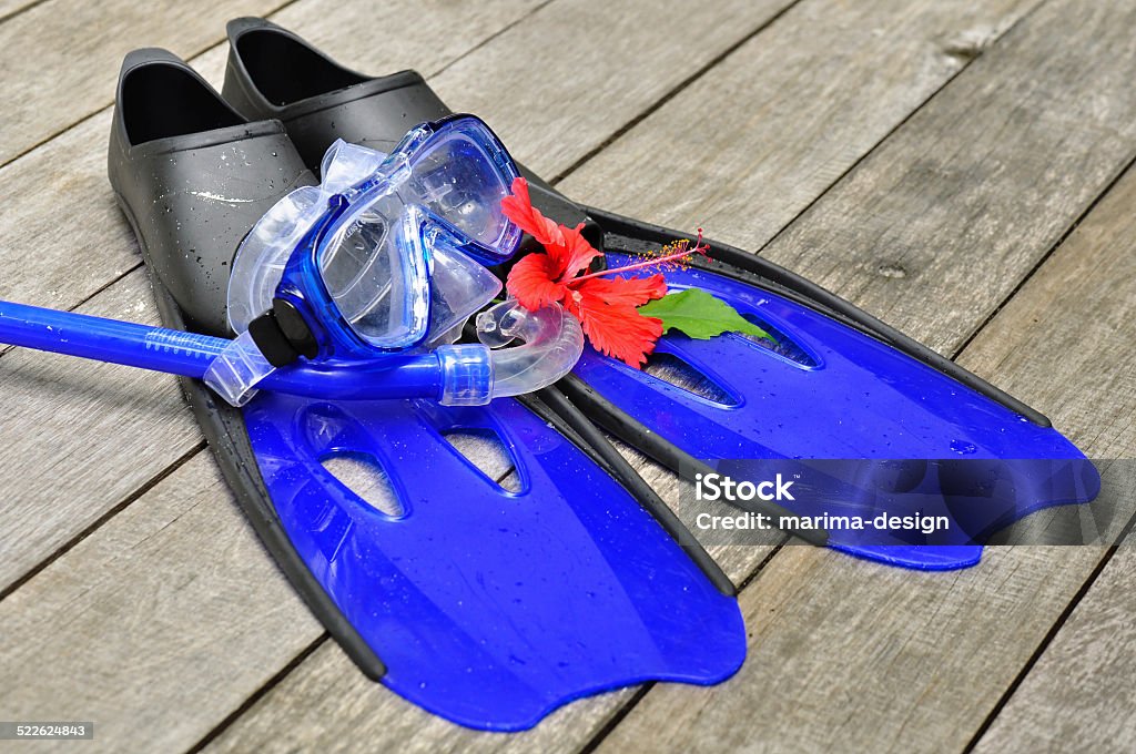 flippers azul - Foto de stock de Aire libre libre de derechos