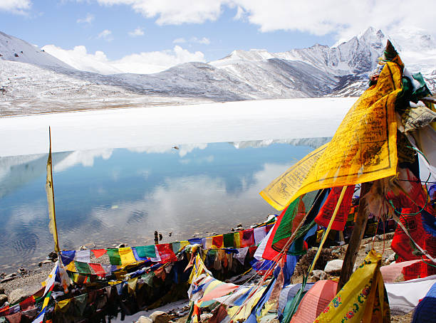 lago yumthang lachen gurudongmar - sikkim foto e immagini stock