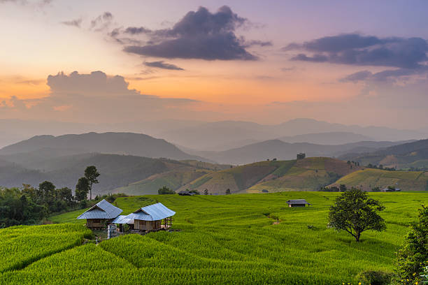 istock Twilight at Ban Pa Pong Piang 522625959