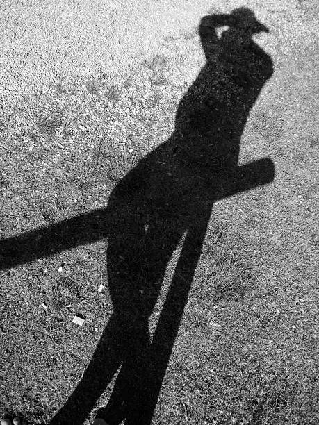 istock Shadow of photographer on the railing 522626760