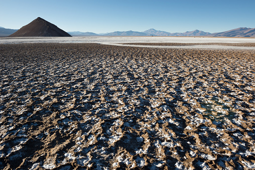 Salt flat of Maricunga in Nevado Tres Cruces national park, Chile