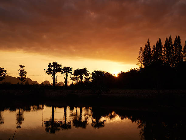 Golden sunrise silouette stock photo