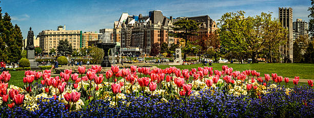 Victoria - Canada, Canada, British Columbia, Harbor, Urban Scene, Day, Vancouver Island, Inner Harbour - Victoria, Sunlight, Capital Cities, Summer, Cloud - Sky, Water, Pier, Commercial Dock, Nautical Vessel, Victoria Harbour - Vancouver Island, Empress Hotel, Travel, Tourism, Downtown District, Marina, Promenade, Scenics, Yacht, Waterfront, Tranquil Scene, Famous Place, Travel Destinations, Vacations, Outdoors, Tourist