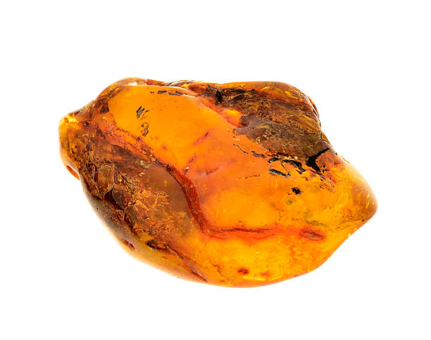 istock piece of baltic amber 522637188