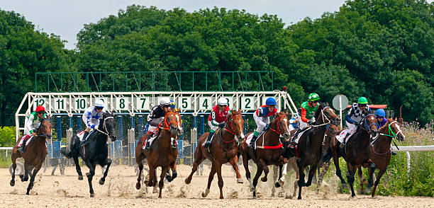 istock Start horse racing in Pyatigorsk. 522637448