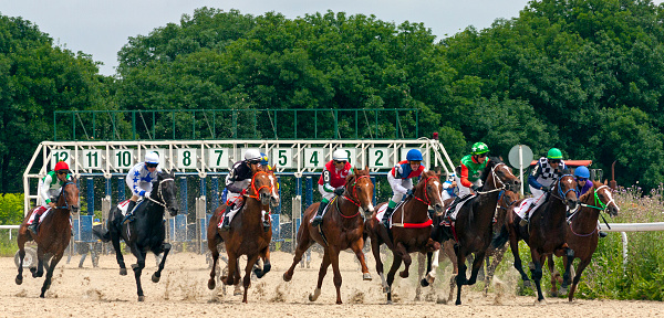 Horse race for the prize Big Summer in Pyatigorsk,Caucasus,Russia.