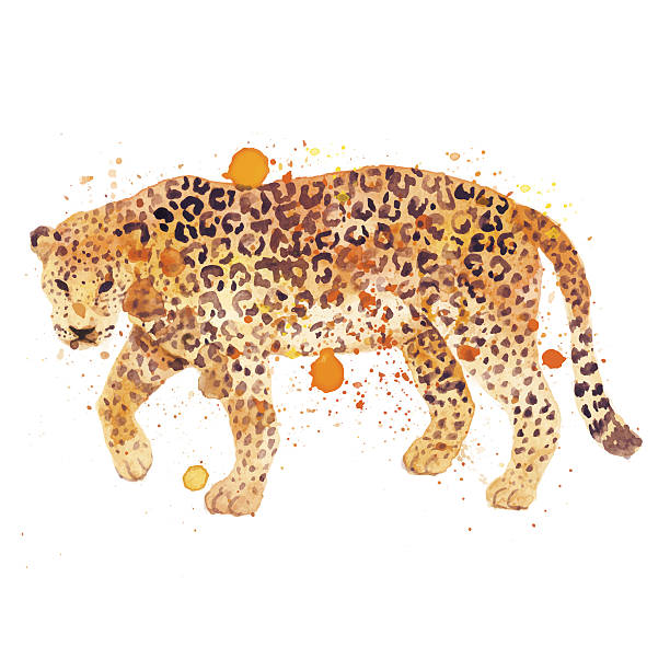 aquarell leopardenmuster - exoticism animal africa cheetah stock-grafiken, -clipart, -cartoons und -symbole