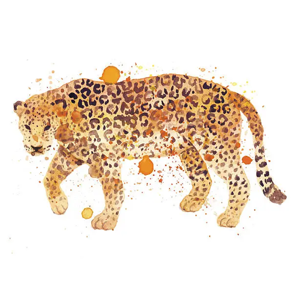 Vector illustration of Watercolor leopard