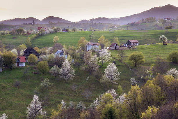 istock Spring mountain landscape in the Carpathians 522638594