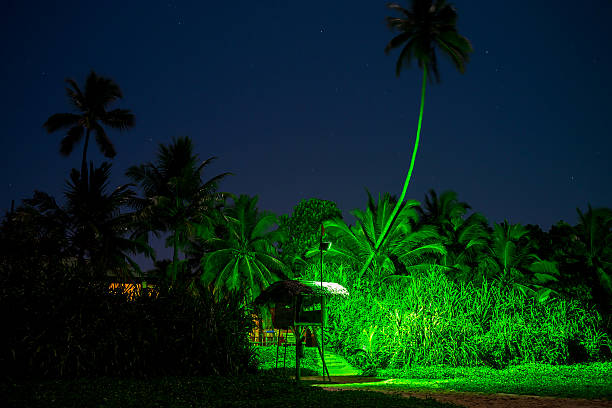 istock Ocean beach at the night with palms 522640598