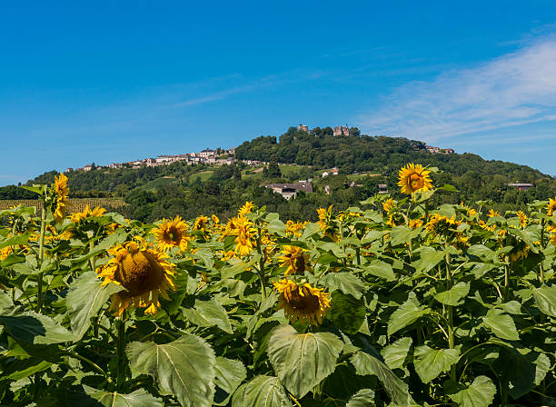 Hill of Sancerre Wine District