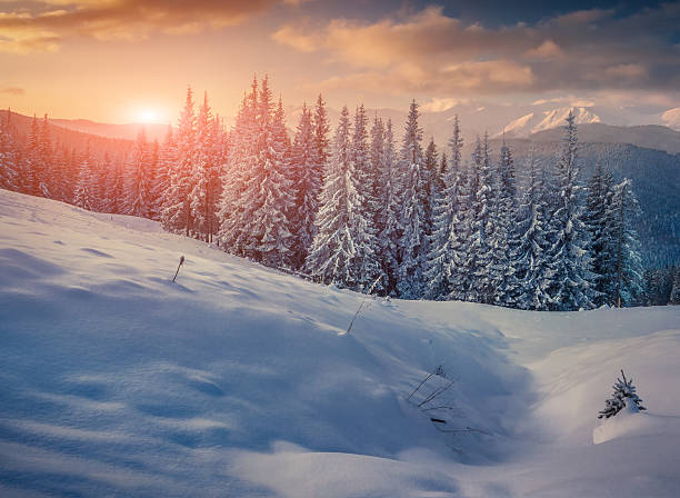 istock Trees covered with hoarfrost and snow in mountains. 522645165