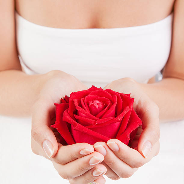 belle femme mains avec rose rouge - aromatherapy single flower flower holding photos et images de collection