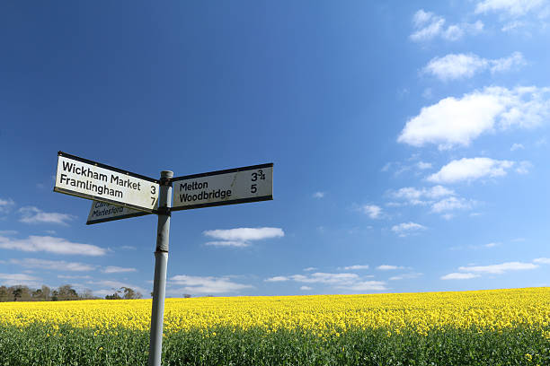 Spring in rural Suffolk, signpost beside field of oilseed rape A rural Suffolk scene of a field of oilseed rape in full flower, captured in late April, with a signpost at crossroads pointing to the market towns of Framlingham and Woodbridge and other local villages. suffolk england stock pictures, royalty-free photos & images